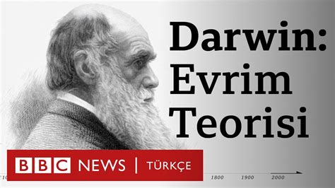 charles darwin evrim teorisi